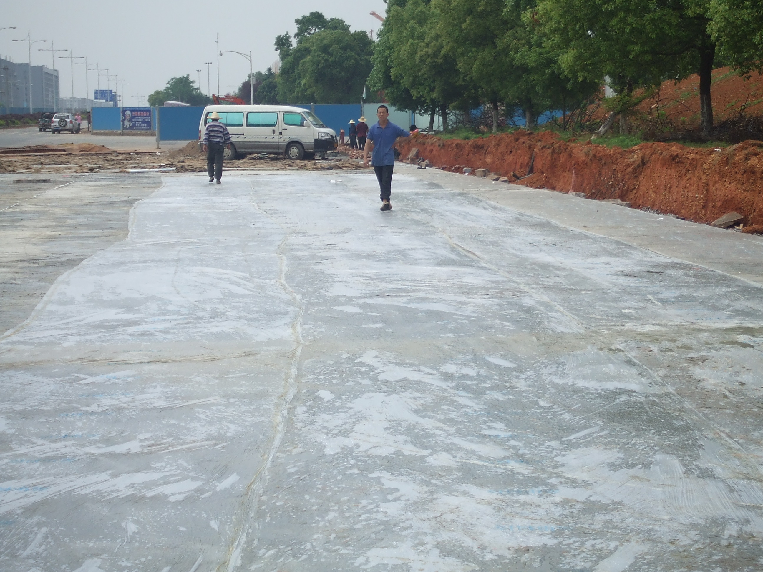 芙蓉路養(yǎng)護(hù)膜使用現(xiàn)場